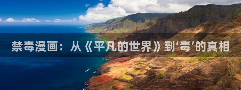 漫画岛app官方下载：禁毒漫画：从《平凡的世界》到‘毒’的真相