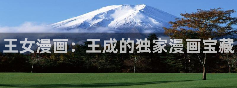 漫画岛下载官方免费：王女漫画：王成的独家漫画宝藏